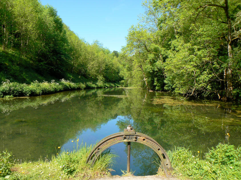 Bradford Dale Bradford Dale
